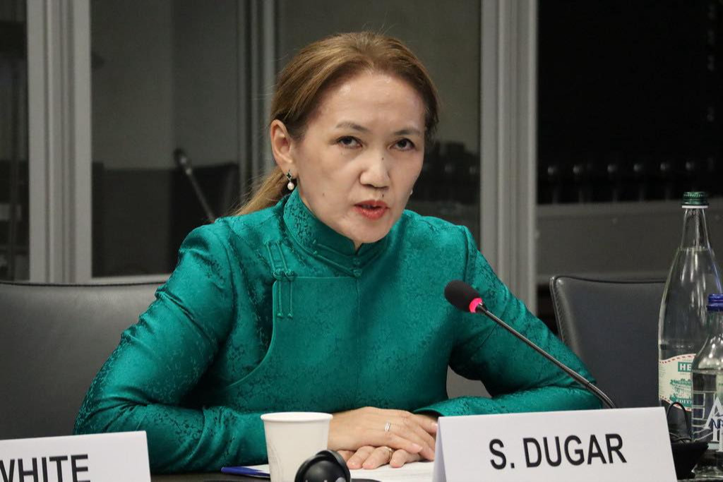 Commitment to civic space reaffirmed at UN Council